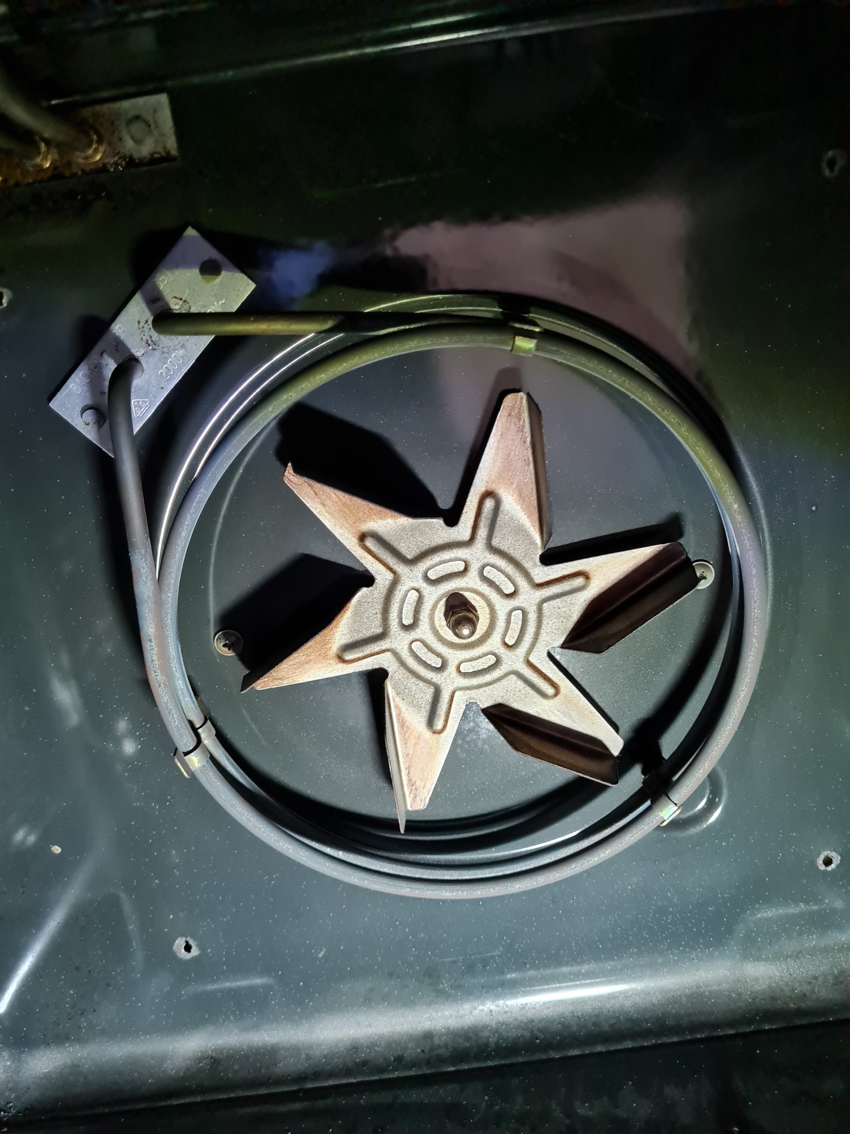 Oven fan and heating element inside oven cavity